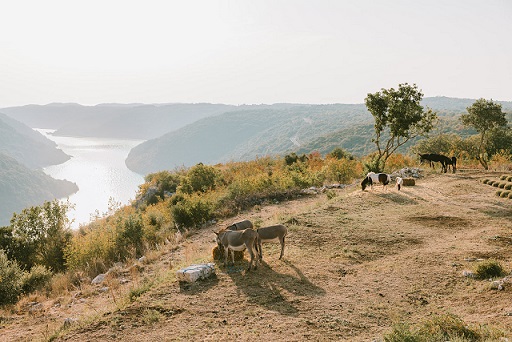 Foto OPG Terra di Leme