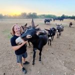 Foto Tanja Kocijančić - Davor Poropat na svom imanju u Dračevcu