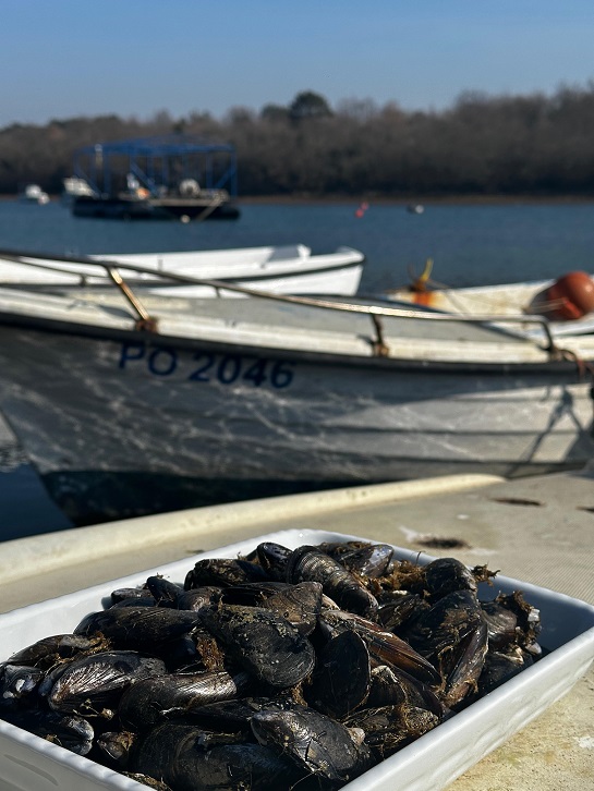 Restoran Al Penon u Vabrigi - ilustracija