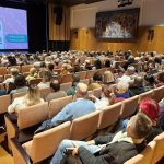 kino novigrad cittanova