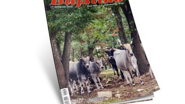 Novi broj Bujštine na kioscima