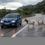Ilustracija - Foto Policijska uprava istarska